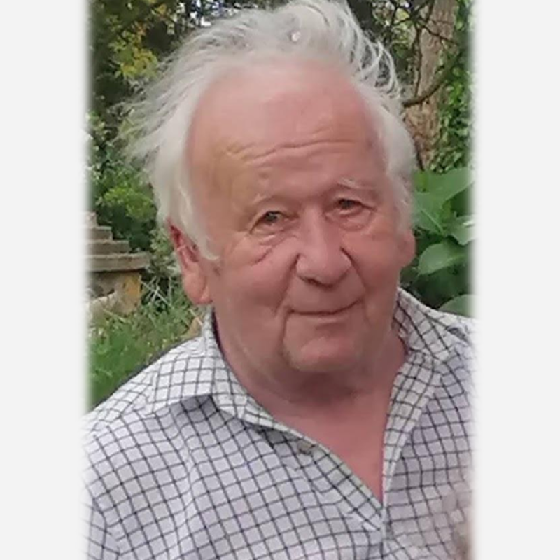 Mr G Lewis